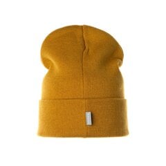 Huppa шапка Reva 94520000*10092, sinep 4741632196667 цена и информация | Шапки, перчатки, шарфы для мальчиков | 220.lv
