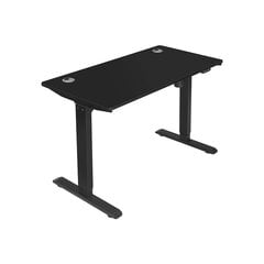 Regulējams galds Vasagle melns cena un informācija | Datorgaldi, rakstāmgaldi, biroja galdi | 220.lv