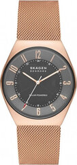 Мужские часы Skagen GRENEN SOLAR POWERED (Ø 37 mm) цена и информация | Мужские часы | 220.lv