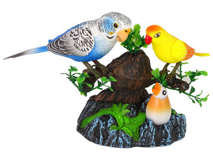 Dziedošās papagaiļi gaismas/skaņas efektiem, zils cena un informācija | Rotaļlietas zēniem | 220.lv