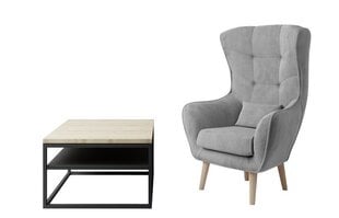 Dzīvojamās istabas mēbeļu komplekts Eltap Vince + Arti, brūns/pelēks cena un informācija | Atpūtas krēsli | 220.lv