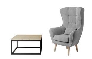 Dzīvojamās istabas mēbeļu komplekts Eltap Moss + Arti, brūns/pelēks cena un informācija | Atpūtas krēsli | 220.lv