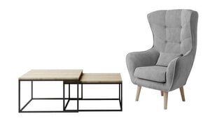 Dzīvojamās istabas mēbeļu komplekts Eltap Clar + Arti, brūns/pelēks cena un informācija | Atpūtas krēsli | 220.lv
