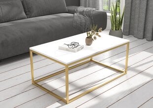 Kafijas galdiņš ADRK Furniture Narisa 100x60 cm, balts/zeltains cena un informācija | Žurnālgaldiņi | 220.lv