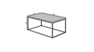 Kafijas galdiņš ADRK Furniture Narisa 100x60 cm, balts cena un informācija | Žurnālgaldiņi | 220.lv