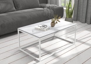 Kafijas galdiņš ADRK Furniture Narisa 100x60 cm, pelēks/balts cena un informācija | Žurnālgaldiņi | 220.lv