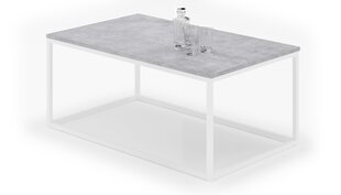 Kafijas galdiņš ADRK Furniture Narisa 100x60 cm, pelēks/balts cena un informācija | Žurnālgaldiņi | 220.lv