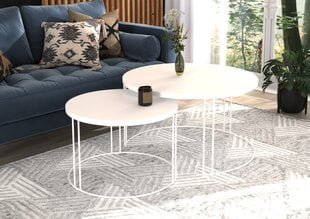 Kafijas galdiņu komplekts ADRK Furniture Etta, balts цена и информация | Журнальные столики | 220.lv