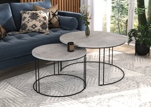 Комплект кофейных столиков ADRK Furniture Etta, серый/черный цвет цена и информация | Журнальные столики | 220.lv