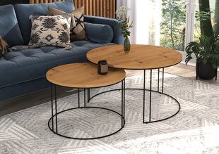 Комплект кофейных столиков ADRK Furniture Etta, коричневый/черный цвет цена и информация | Журнальные столики | 220.lv