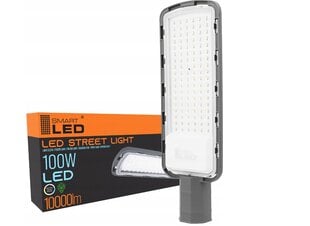 LED ielu lampa SL708, 100W цена и информация | Уличное освещение | 220.lv