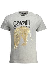 Cavalli Class vīriešu t-krekls QXT061I-JD060, pelēks cena un informācija | Vīriešu T-krekli | 220.lv