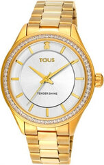 Vīriešu pulkstenis Tous 200350520 цена и информация | Мужские часы | 220.lv