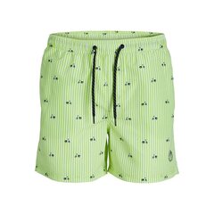 Плавки мужские PSTFIJI JJSWIM MINI STRIPE LY  Jack & Jones 12227350 Зеленый цена и информация | Плавки, плавательные шорты | 220.lv