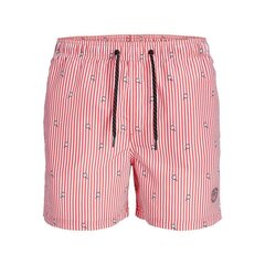 Плавки мужские PSTFIJI JJSWIM MINI STRIPE LY  Jack & Jones 12227350 Розовый цена и информация | Плавки, плавательные шорты | 220.lv