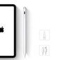 Aktīvais irbulis Apple iPad JR-X9, balts cena un informācija | Citi aksesuāri planšetēm un e-grāmatām | 220.lv