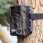 Kamera meža novērošanai cena un informācija | Novērošanas kameras | 220.lv