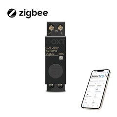 Переключатель ZigBee DIN 50A 19 мм цена и информация | Системы безопасности, контроллеры | 220.lv