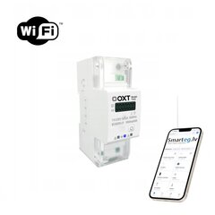 Счетчик 65A DIN WiFi цена и информация | Системы безопасности, контроллеры | 220.lv