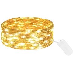 LED virtene 1 m, 10 LED цена и информация | Гирлянды | 220.lv