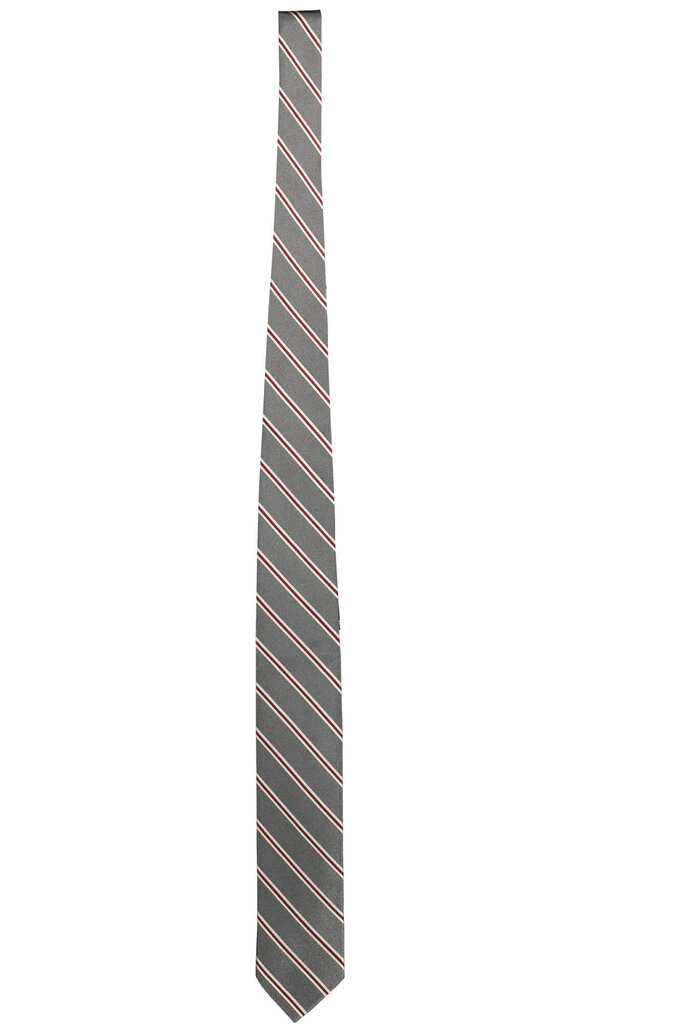 Kaklasaite vīriešiem Gant Cravatte 20039950106 cena un informācija | Kaklasaites, tauriņi | 220.lv