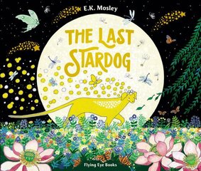Last Stardog цена и информация | Книги для малышей | 220.lv