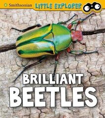 Brilliant Beetles цена и информация | Книги для подростков и молодежи | 220.lv