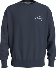 Džemperis vīriešiem Tommy Hilfiger Jeans, zils цена и информация | Мужские толстовки | 220.lv