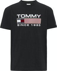 TOMMY HILFIGER KREKLS DM0DM14991 цена и информация | Мужские футболки | 220.lv