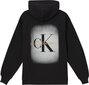 CALVIN KLEIN džemperis J20J220502 cena un informācija | Jakas sievietēm | 220.lv
