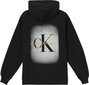 CALVIN KLEIN džemperis J20J220502 цена и информация | Jakas sievietēm | 220.lv