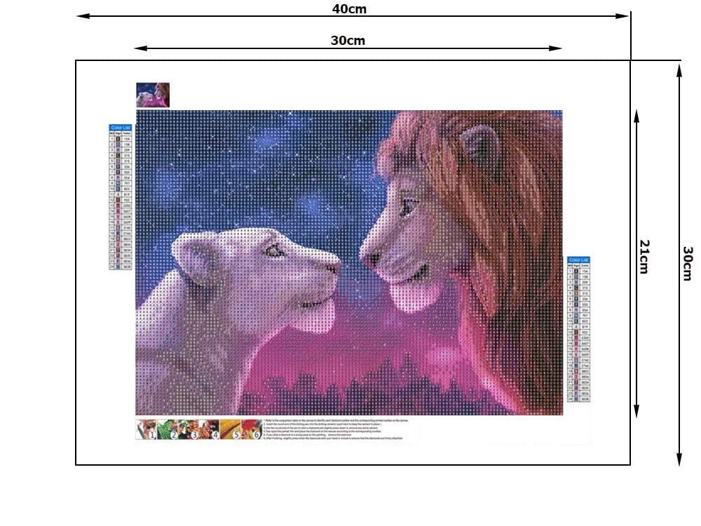 Dimanta mozaīka Lion King, 30x40 cm cena un informācija | Dimantu mozaīkas | 220.lv