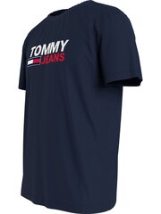 Мужская футболка Tommy Hilfiger, серая цена и информация | Мужские футболки | 220.lv