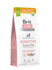 Brit Care Sensitive visu šķirņu pieaugušiem suņiem ar kukaiņiem un zivīm, 12+2 kg cena un informācija | Sausā barība suņiem | 220.lv