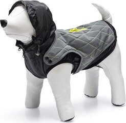 Jaka suņiem Beeztees Safety Gear Allia, dažādi izmēri, pelēka цена и информация | Одежда для собак | 220.lv