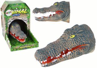 Krokodila galva Lean Toys cena un informācija | Rotaļlietas zēniem | 220.lv