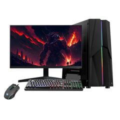 Gaming PC Starter 3 Komplekt, Intel Core i3-10100F, 1000 GB HDD 500 GB SSD, RAM 8 GB, Windows 10 цена и информация | Стационарные компьютеры | 220.lv