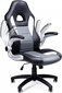 Biroja krēsls Songmics Ergo, melns/pelēks cena un informācija | Biroja krēsli | 220.lv