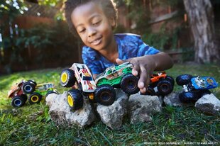 Машинки Hot Wheels Monster Trucks, 2 шт. цена и информация | Конструктор автомобилей игрушки для мальчиков | 220.lv