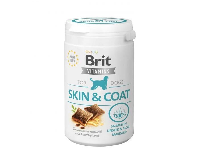 Brit papildbarība ar vitamīniem suņiem Vitamins Skin&Coat, 150 g cena un informācija | Vitamīni, uztura bagātinātāji, pretparazītu līdzekļi suņiem | 220.lv