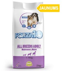 Forza10 Maintenance All breeds pieaugušiem suņiem ar cūkgaļu, 12,5kg cena un informācija | Sausā barība suņiem | 220.lv