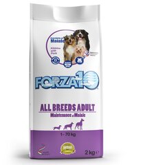 Сухой корм для взрослых собак всех пород и размеров со свининой Forza10 Maintenance All breeds , 2кг цена и информация | Сухой корм для собак | 220.lv