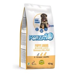 Forza10 Maintenance Puppy Junior M/L vidējo un lielo šķirņu kucēniem ar vistu un kartupeļiem, 15kg cena un informācija | Sausā barība suņiem | 220.lv