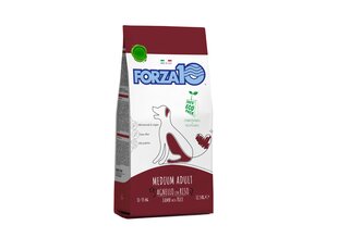 Forza10 Maintenance Medium Adult vidēja auguma suņiem ar jēru un rīsiem, 12,5 kg cena un informācija | Sausā barība suņiem | 220.lv