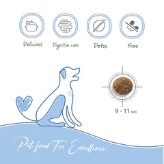 Forza10 Maintenance Mini Adult для взрослых собак мелких пород с рыбой, 2кг цена и информация | Сухой корм для собак | 220.lv