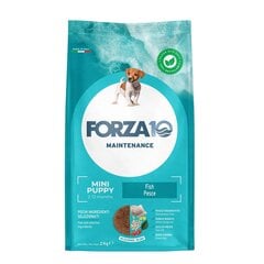 Сухой корм для щенков с рыбой Forza10 Maintenance Puppy Junior S/M, 2кг цена и информация | Сухой корм для собак | 220.lv