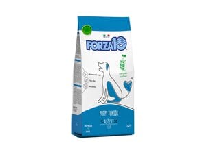 Forza10 Maintenance Puppy Junior S/M kucēniem ar zivi, 2kg cena un informācija | Sausā barība suņiem | 220.lv