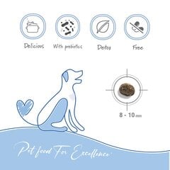 Сухой корм для щенков с рыбой Forza10 Maintenance Puppy Junior S/M, 2кг цена и информация | Сухой корм для собак | 220.lv