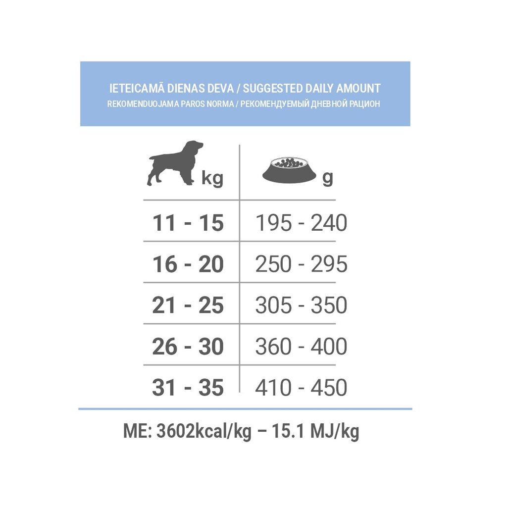 Forza10 Medium Diet vidējo šķirņu suņiem ar jēru, 12kg cena un informācija | Sausā barība suņiem | 220.lv