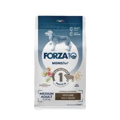 Forza10 Medium Diet vidējo šķirņu suņiem ar jēru, 1,5kg cena un informācija | Sausā barība suņiem | 220.lv